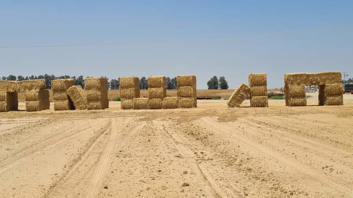 Chavouot au kibboutz Ketura (Photo : Nadav Solvay)