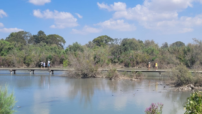 שמורת הטבע עין אפק (צילום: תמר עבדת, רשות הטבע והגנים)