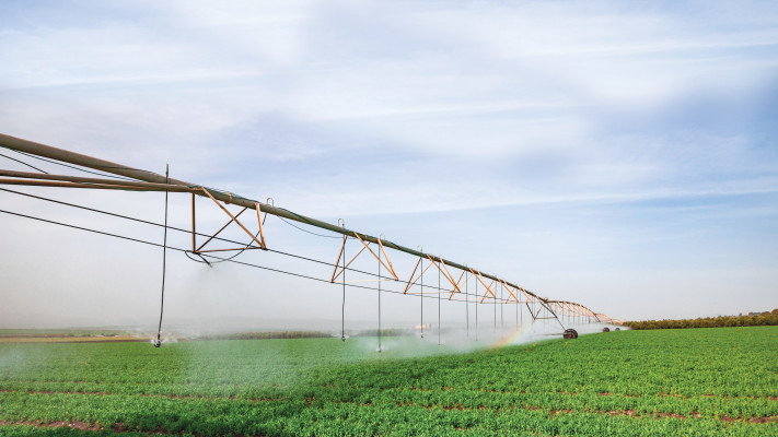 שדה השקיה