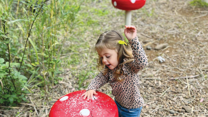 מסלול אורקולי בפארק הירדן