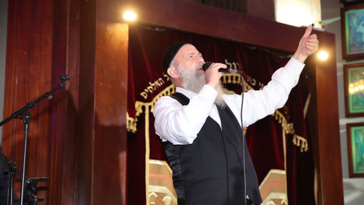 שולי רנד (צילום: אור גפן)