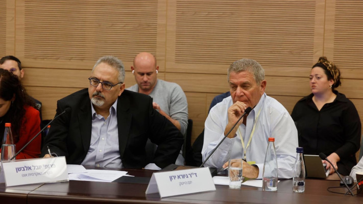 פרופ' יובל אלבשן וד''ר גיורא ירון בוועדת החוקה (צילום: מרק ישראל סלם)