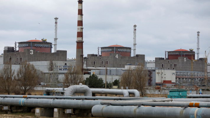 תחנת הכוח הגרעינית זפוריז'יה (צילום:  REUTERS/Alexander Ermochenko)