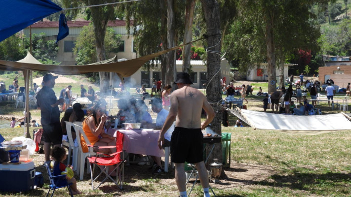 מנגל עצמאות בחורשת טל  (צילום: עמר רדא, רשות הטבע והגנים)