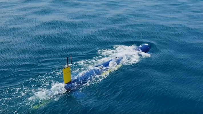 צוללת ה- ''BlueWhale''