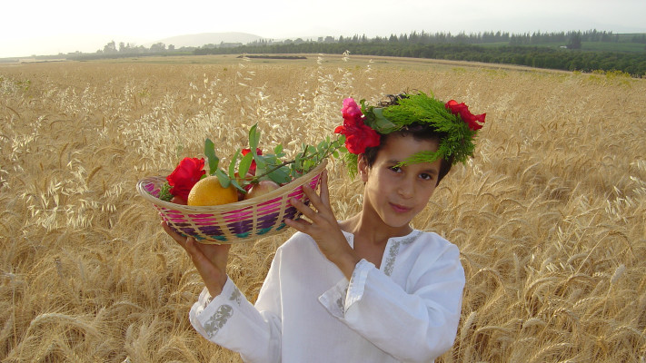 שבועות בקק''ל 