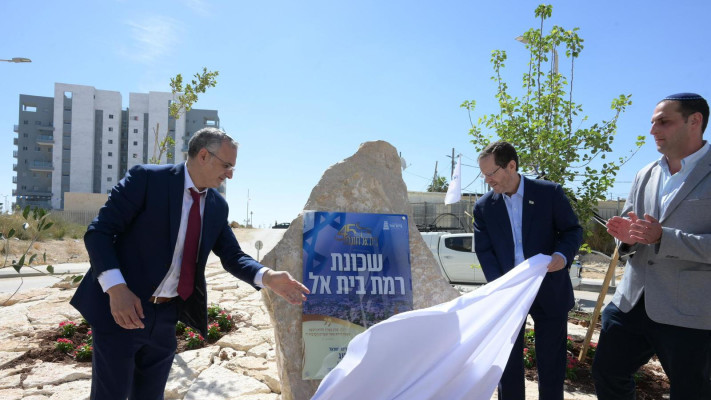 יצחק הרצוג, שי אלון