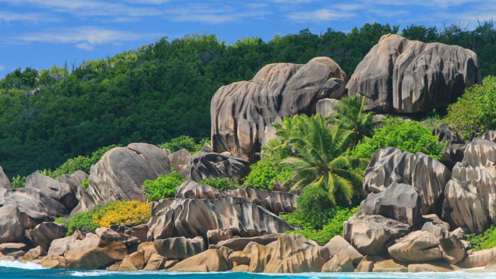 איי סיישל&nbsp;