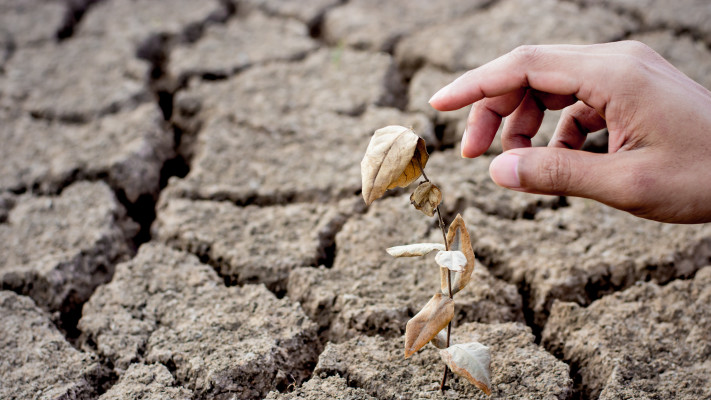 כך שינויי האקלים משפיעים על התכניות שלנו