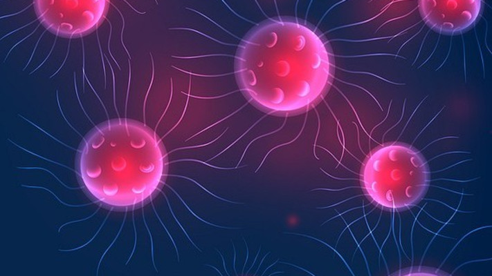 חיידקים, אילוסטרציה