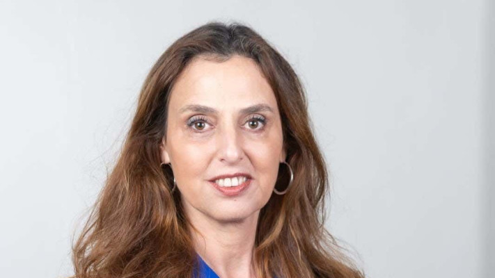 עורכת הדין דפנה הולץ לכנר  (צילום: עמי ארליך )