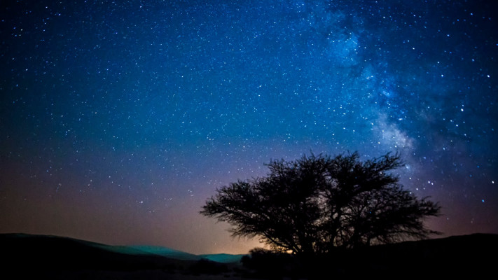 מטר המטאורים ביער מצפה רמון