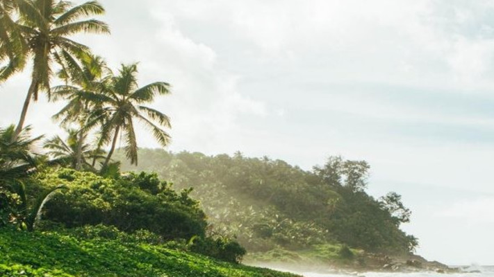 שמורת טבע באיי סיישל (צילום: יח''צ ספיריט)
