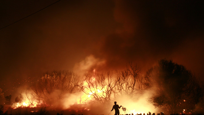 שריפה ביוון (צילום: REUTERS/John Kolesidis)