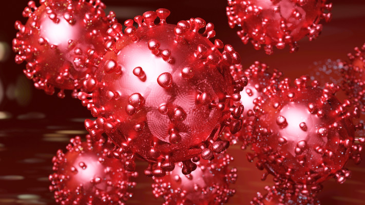 נגיף הקורונה