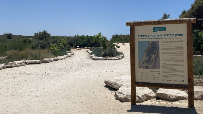 פארק אקולוגי מצודת ים אשדוד (צילום: מיטל שרעבי)
