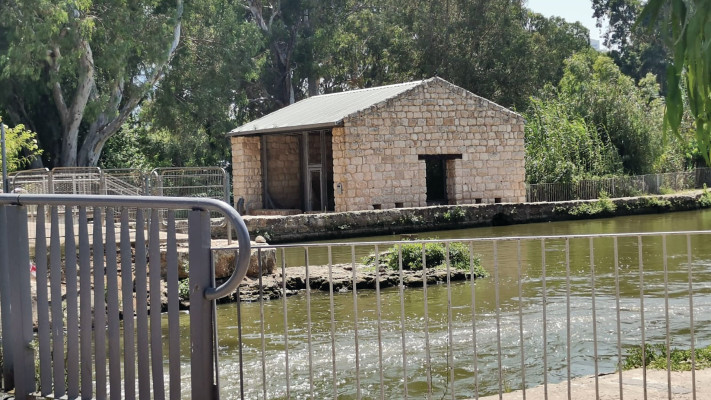 ראש ציפור פארק הירקון (צילום: ליבנה שלוי)