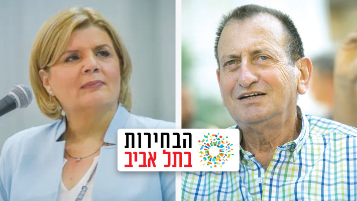 רון חולדאי, אורנה ברביבאי (צילום: מרים אלסטר, פלאש 90,יוסי זלינגר, פלאש 90)