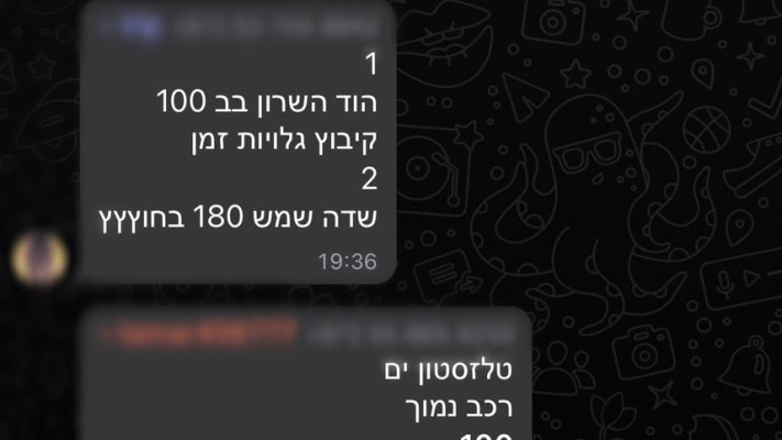 כך עובדת מערכת הדרייברים בישראל - קבוצת הנהגות לנשים בלבד (צילום: מעריב אונליין)