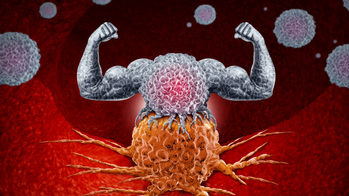 מערכת חיסונית חזקה, אילוסטרציה