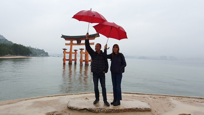 איים. רשימת&nbsp;המחלות&nbsp;משתנה