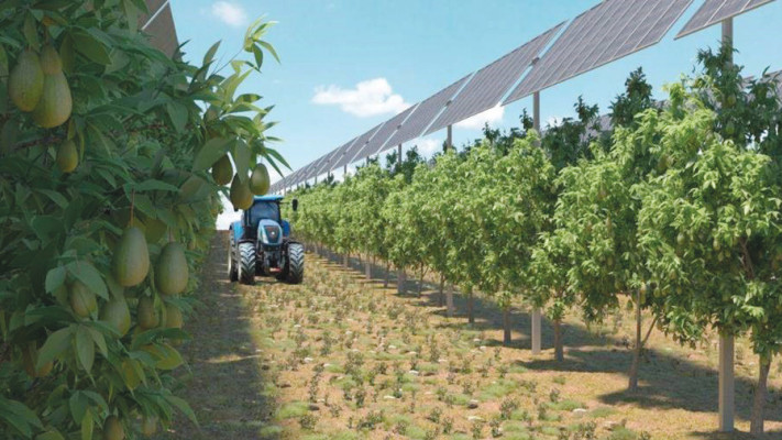 מערכות אגרי-וולטאיות לייצור אנרגיה מתחדשת בשטחי גרנות הדמייה שיכון ובינוי אנרגיה