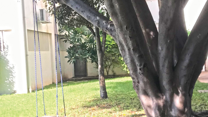 החצר בבניין של טליה לוין