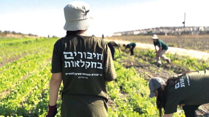 מתנדבת בעמותה