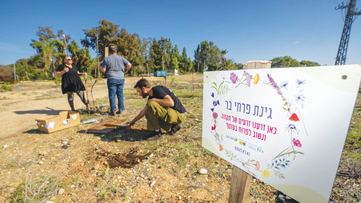 הזריעה בקיבוץ גבים