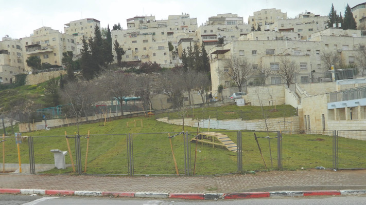 פארק הכלבים בפסגת זאב (צילום: ארכיון פרטי)