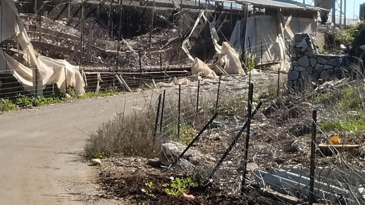 הלול שנפגע מירי נ''ט במושב דוב''ב שבצפון (צילום: ללא קרדיט)