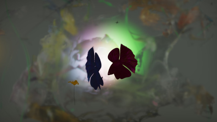 איתן בן משה