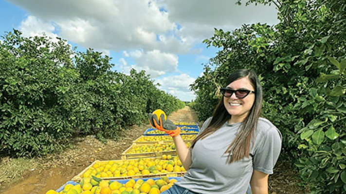 שאנל בן דוד