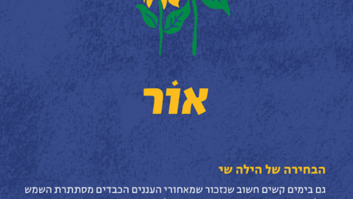 מיזם מיוחד לקראת יום השפה העברית, הילה שי בחרה במילה ''אור'' (צילום: האקדמיה ללשון העברית)