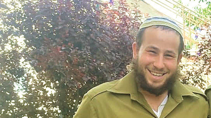 אריאל אביגד