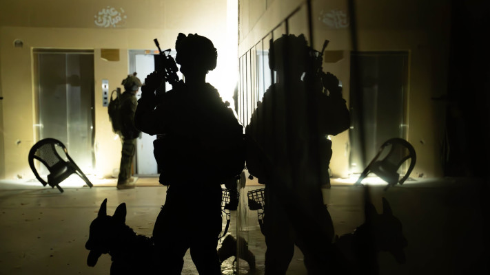 כוחות צה''ל בעזה