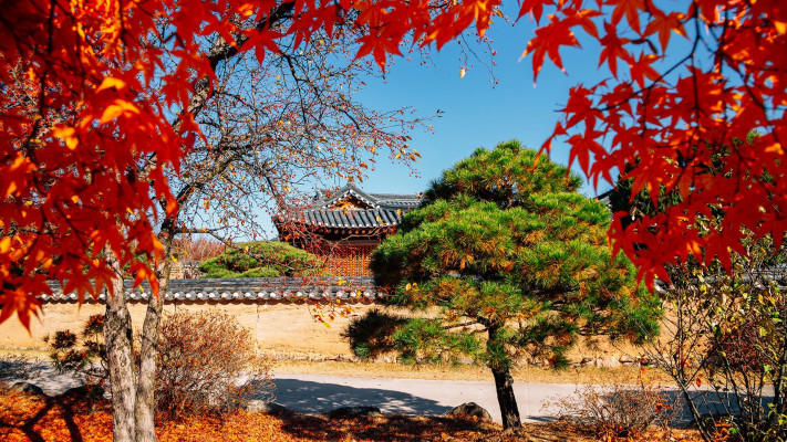 דרום קוריאה