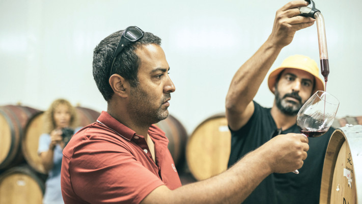 מושב קדש ברנע-יקב רמת נגב-טבע-חקלאות-משפחת צדוק-חבית יין-כוס