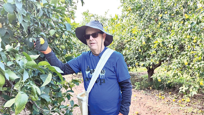 אבי זנגר (צילום: אסף לוי)