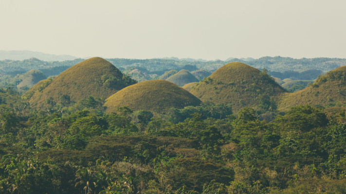 גבעות השוקולד, הפיליפינים (צילום: אינגאימג')