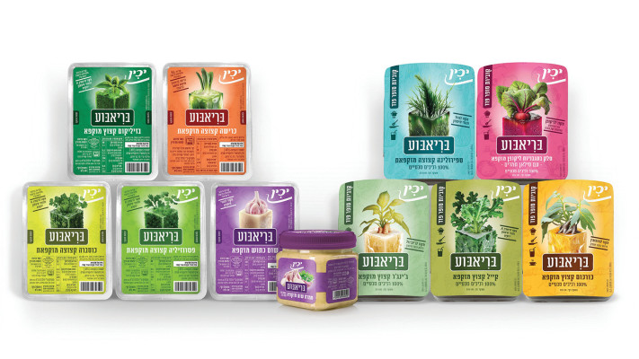 סדרת 100בריאבוע של יכין