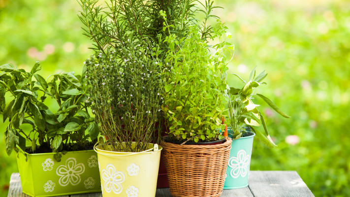 עשו זאת בעצמכם. גינה במרפסת