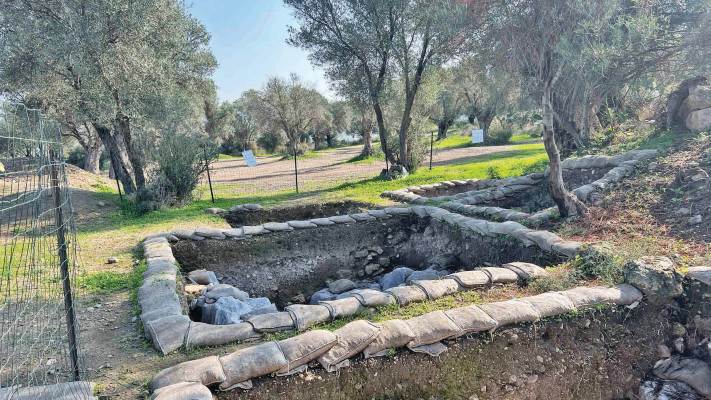 חפירות בתל חדיד (צילום: צילום פרטי)