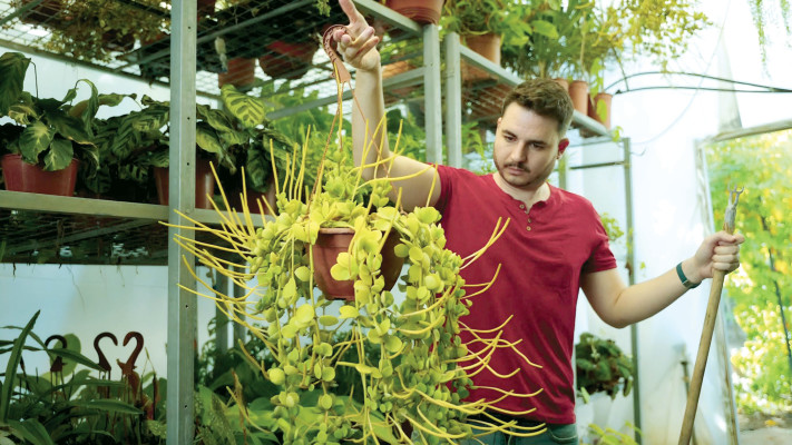 נדב סולל בעל משתלה במושב ישרש שנפגעה במלחמה