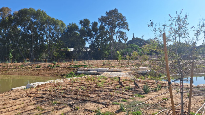 בריכת החורף המחודשת בחולון