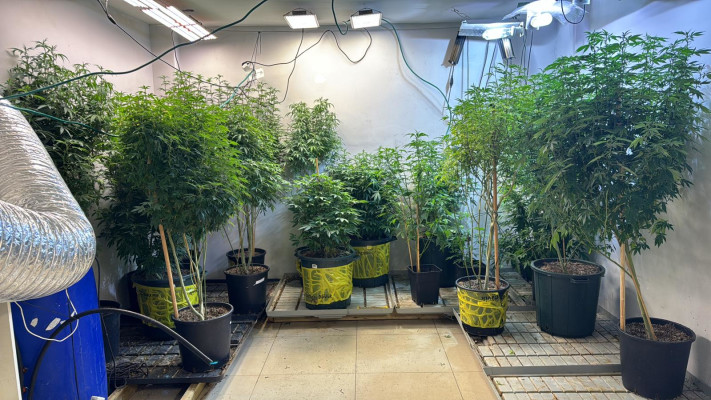 מעבדת הסמים בראשון לציון