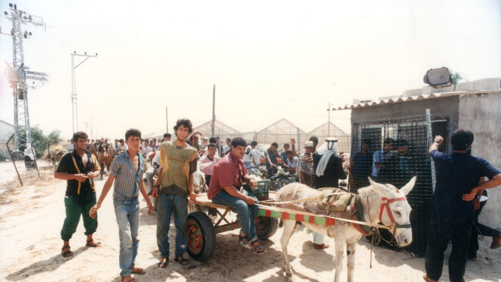 שנת 1992 פועלים מעזה מגיעים לעבודה בגוש קטיף (צילום: אדי ישראל)