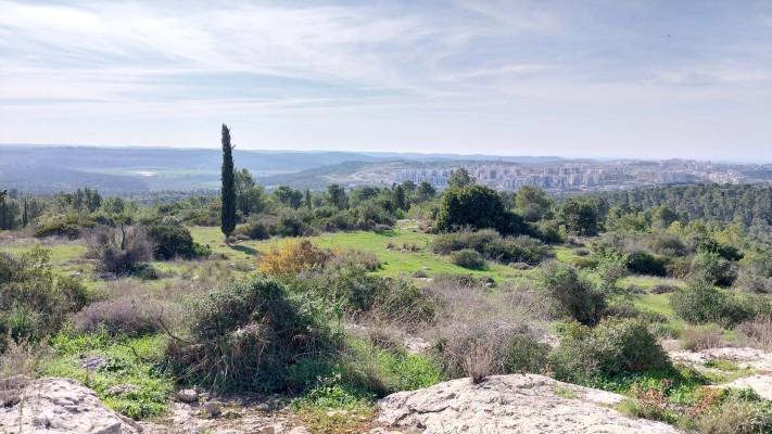 שביל הקיסר (צילום: איציק בן דב, החברה להגנת הטבע)