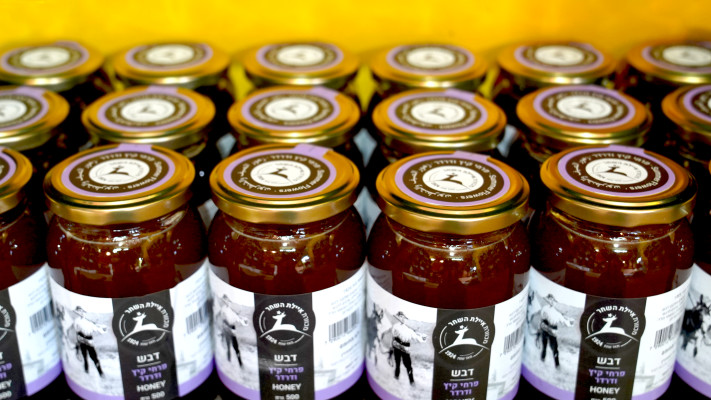 דבש איילת השחר