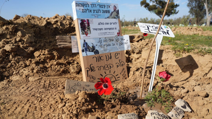 הנטיעות במתחם פסטיבל נובה ברעים